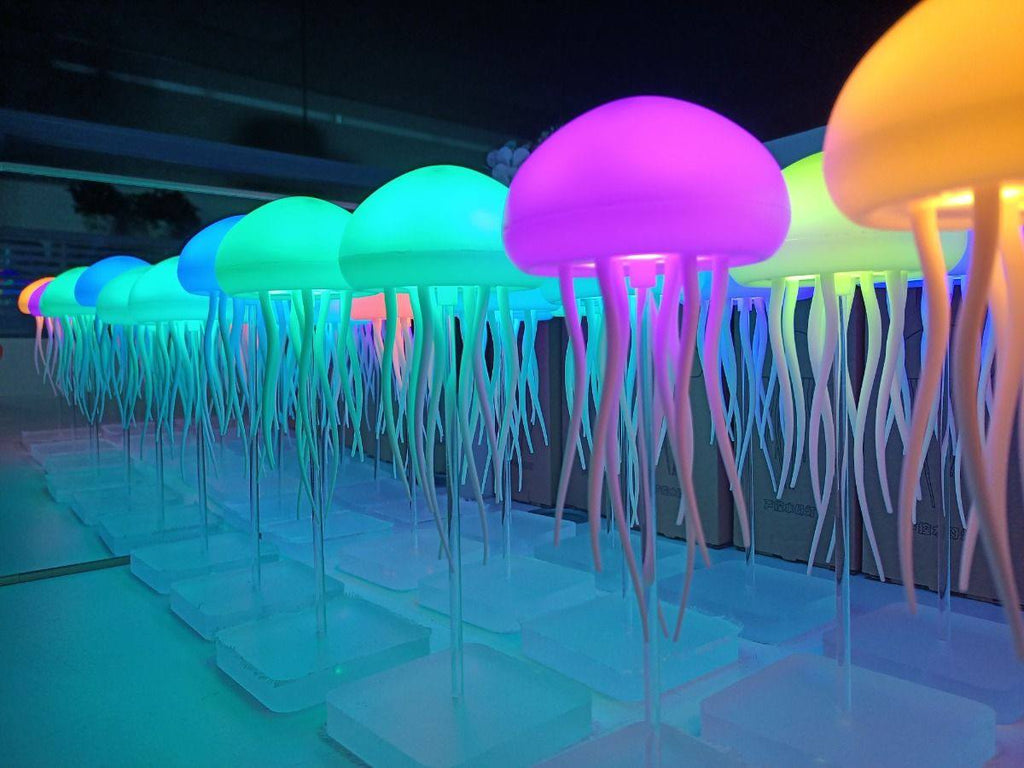 JellyDance Light