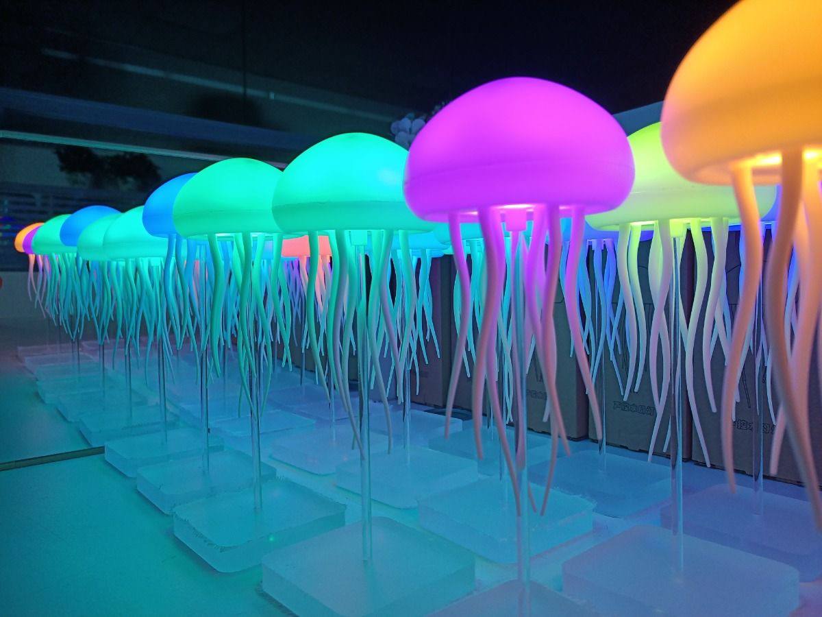 JellyDance Light