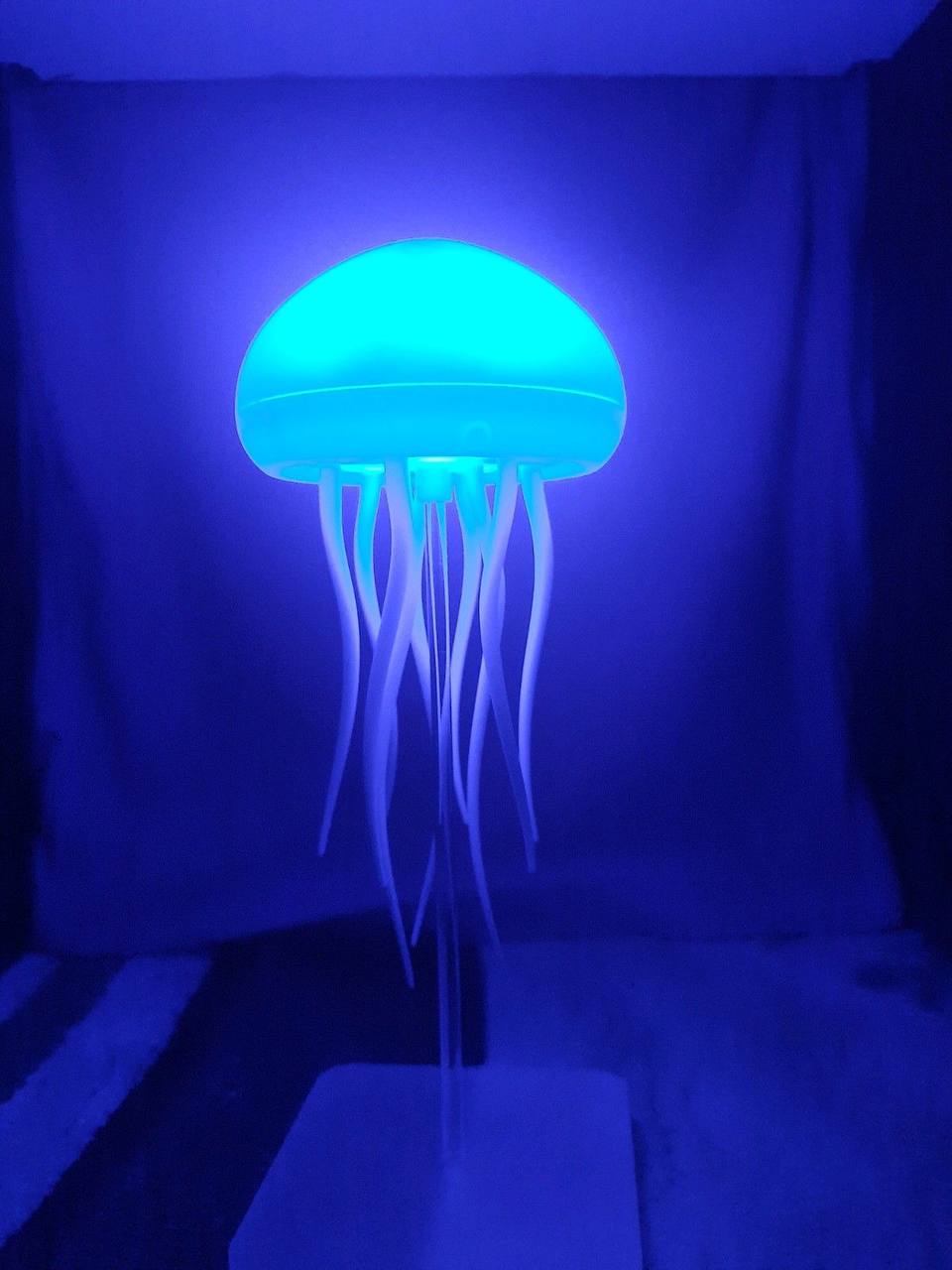 JellyDance Light